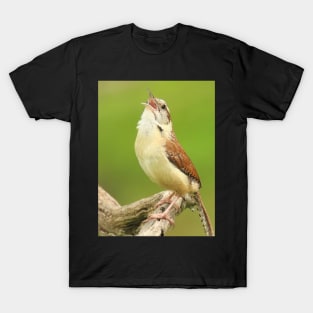 Carolina Wren Singing T-Shirt